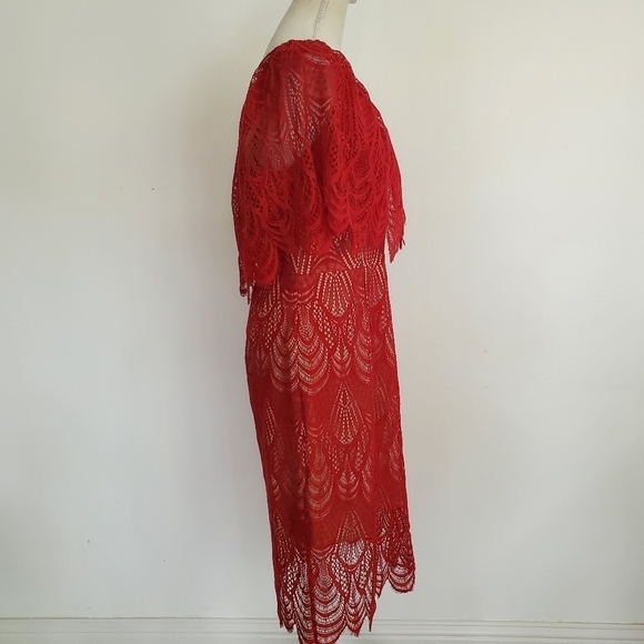 Dress the Population "Violet" Ruby Red One Shoulder Lace Dress - Picture 7 of 10